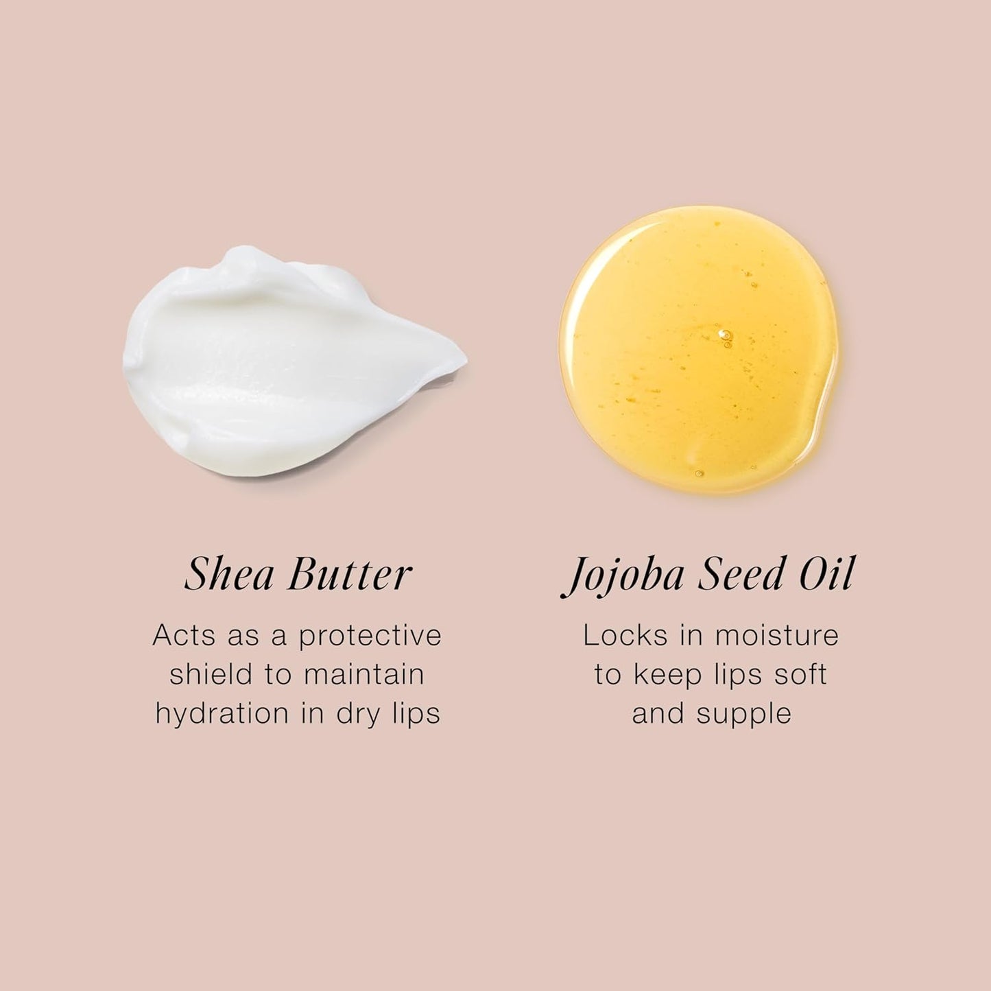 Jouer Balm Bouche Demi-Matte Lip-Sensualité - Tinted Lip Balm - Hydrating Lip Tint Long Lasting - Matte Lip Color - Jojoba Seed Oil and Shea Butter Formula