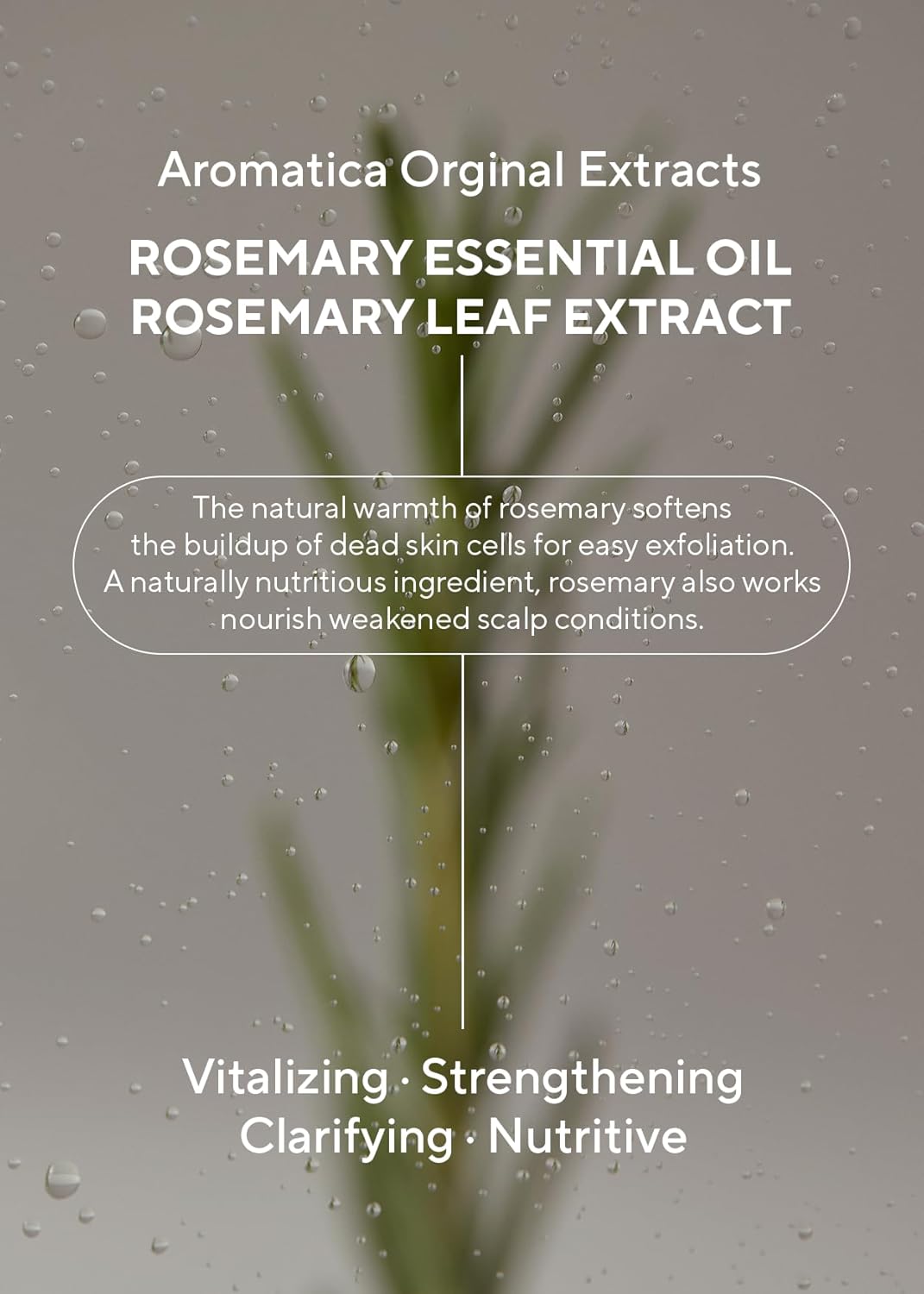 AROMATICA Rosemary 3-in-1 Hair Treatment – Nourishing & Moisturizing Hair Mask with Rosemary & Betaine, Cream Adds Shine & Softness, Deep Conditioner for Dry & Damaged Hair, Korean Hair Care 5.4 fl.oz