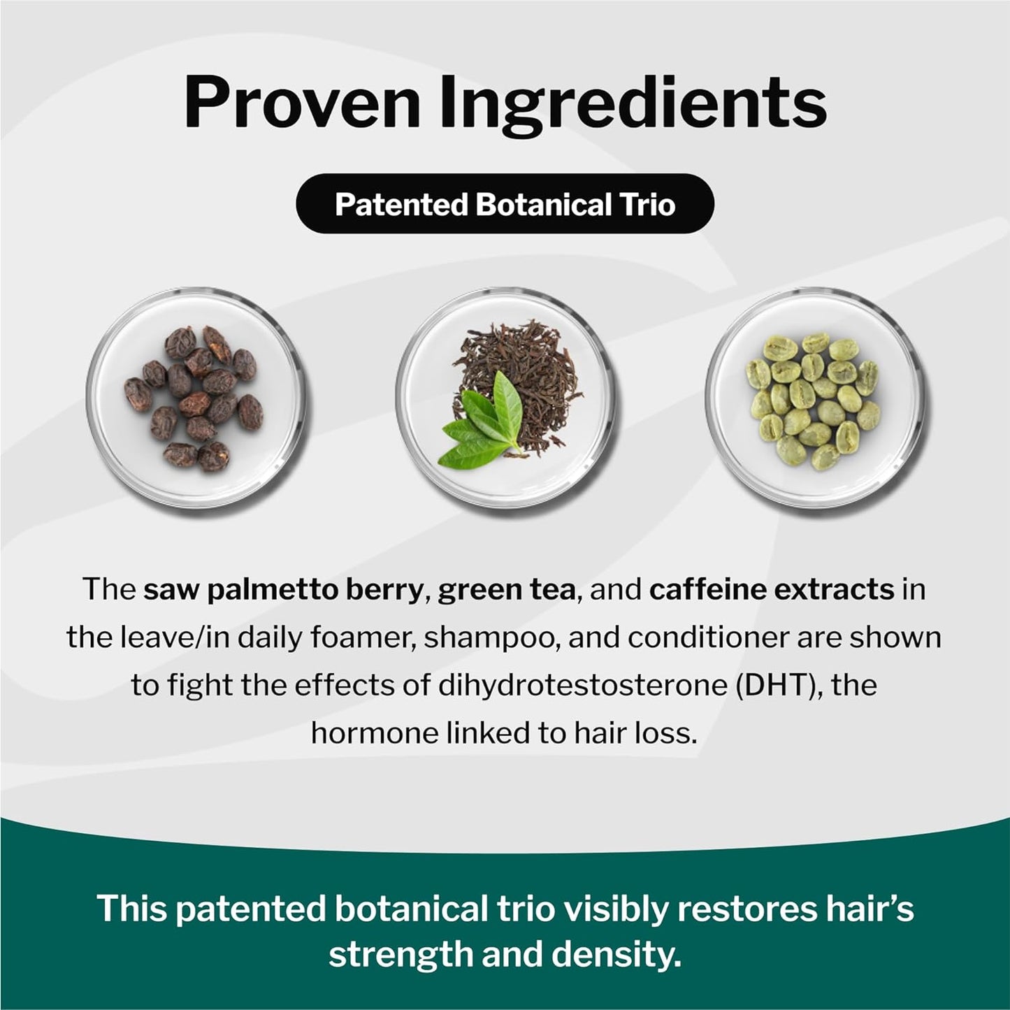 Shapiro MD Hair Growth Experts Hair Loss Shampoo | DHT Fighting Vegan Formula for Thinning Hair Developed by Dermatologists | Experience Healthier, Fuller and Thicker Looking Hair | 1 Month Supply