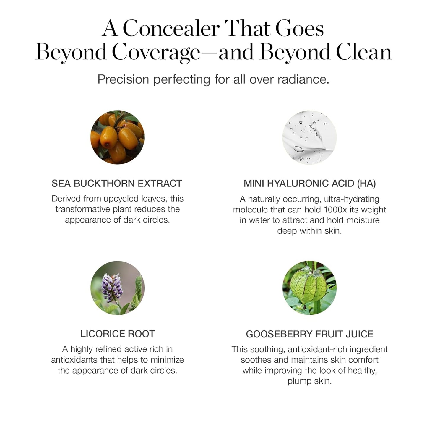 Ogee Complexion Perfecting Under Eye Concealer - Certified Organic Full Coverage Concealer - Buildable Coverage - LARCH 2.25C - Light Tan (Pink Undertones)