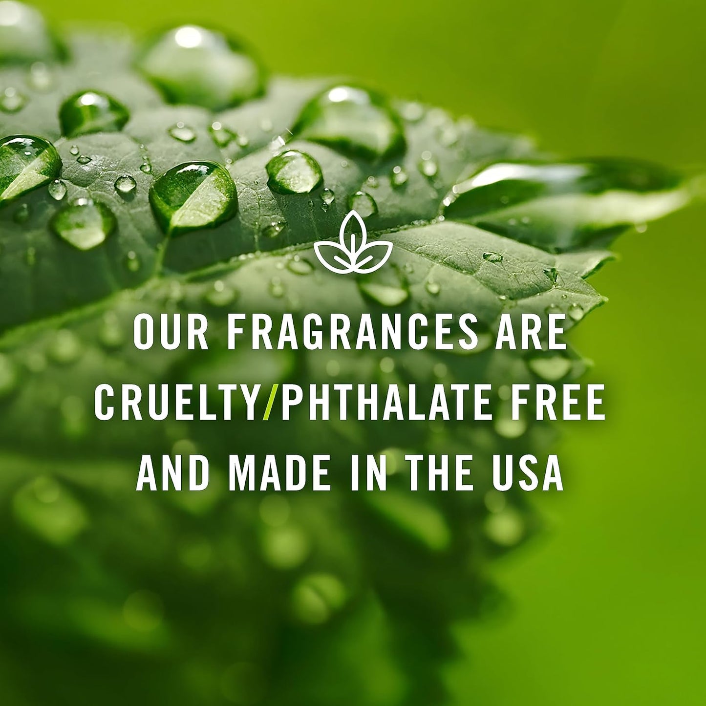 P&J Trading - Lotus Blossom Scented Oil 100ml - Fragrance Oil for Candle Making, Soap Making, Diffuser Oil