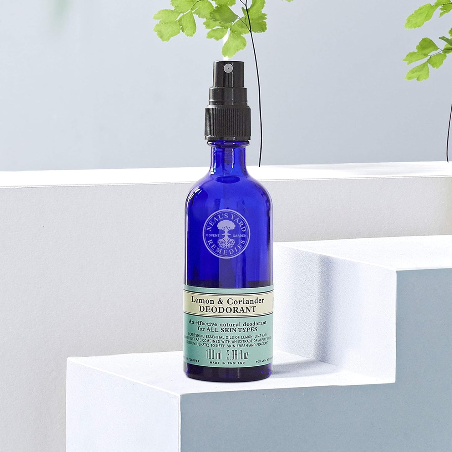 Neal's Yard Spray Deodorant with a Blend of Cleansing Extracts & Essential Oils for All Skin Types, Aluminum & Cruelty Free, Lemon & Coriander, 100mL