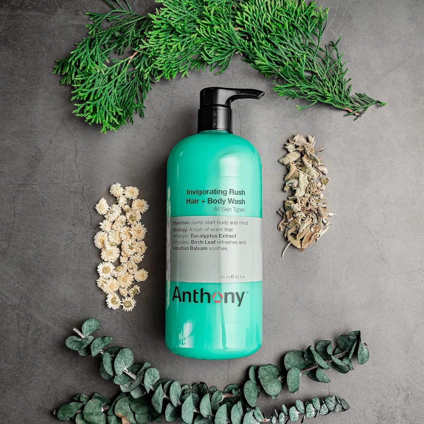 Anthony Mens Body Wash and Shampoo: Invigorating Rush 2-In-1 Liquid Gel Soap & Hair Shampoo, Pine Wood Scent, Hydrating with Eucalyptus, Canadian Balsam, Birch Leaf, Charcoal, Sea Kelp, 32 Fl. Oz
